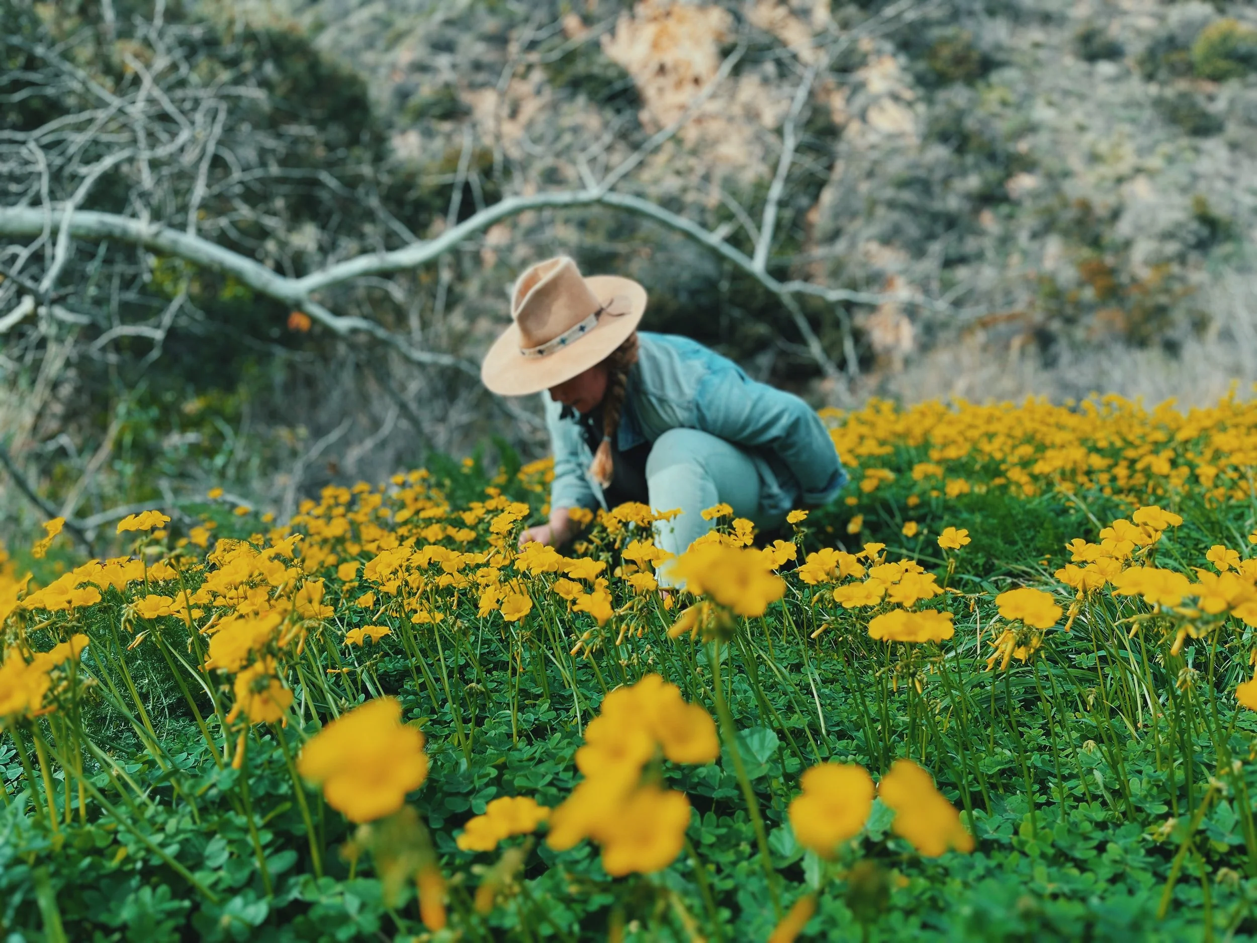 Holly Gottlieb in a field of yellow wildflowers